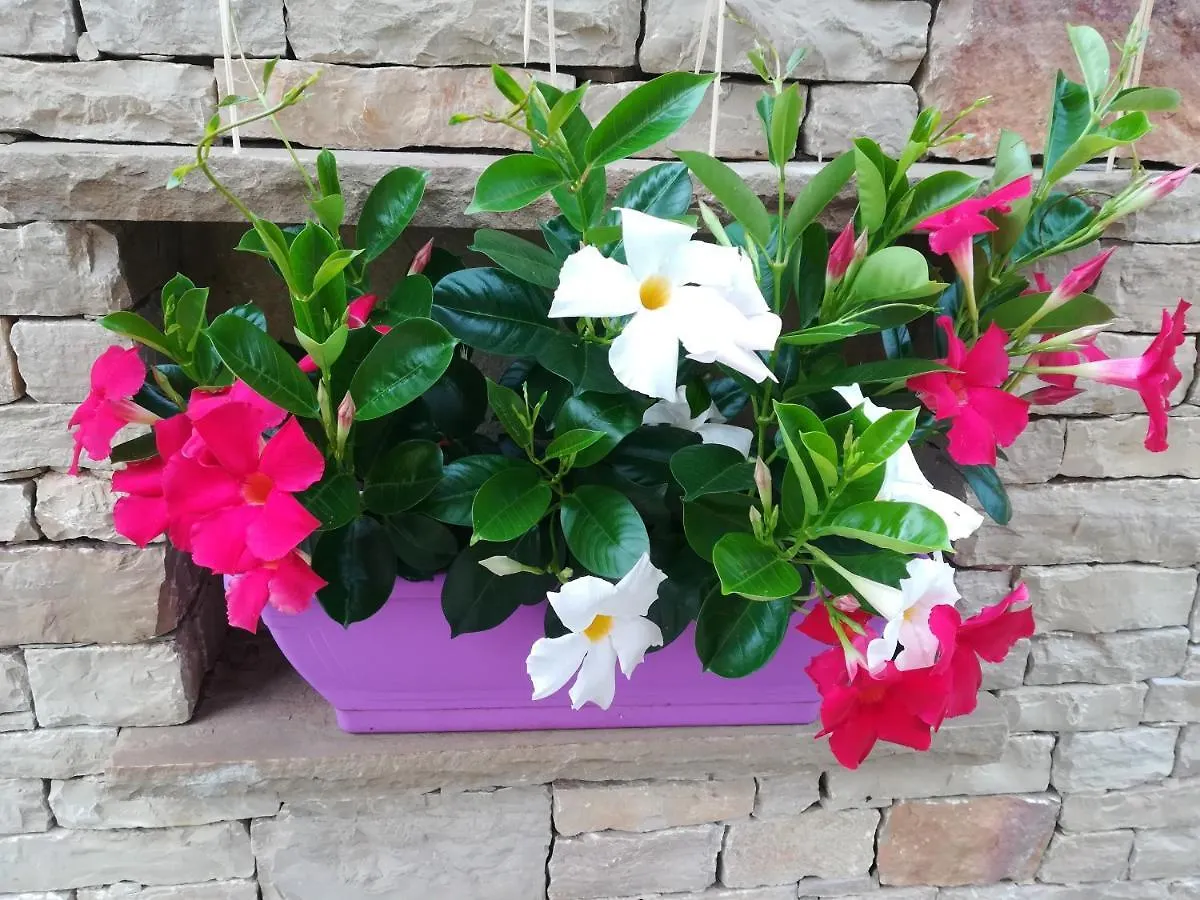 Apartamento Casa Viola Sant'Antonio Tortal Italia